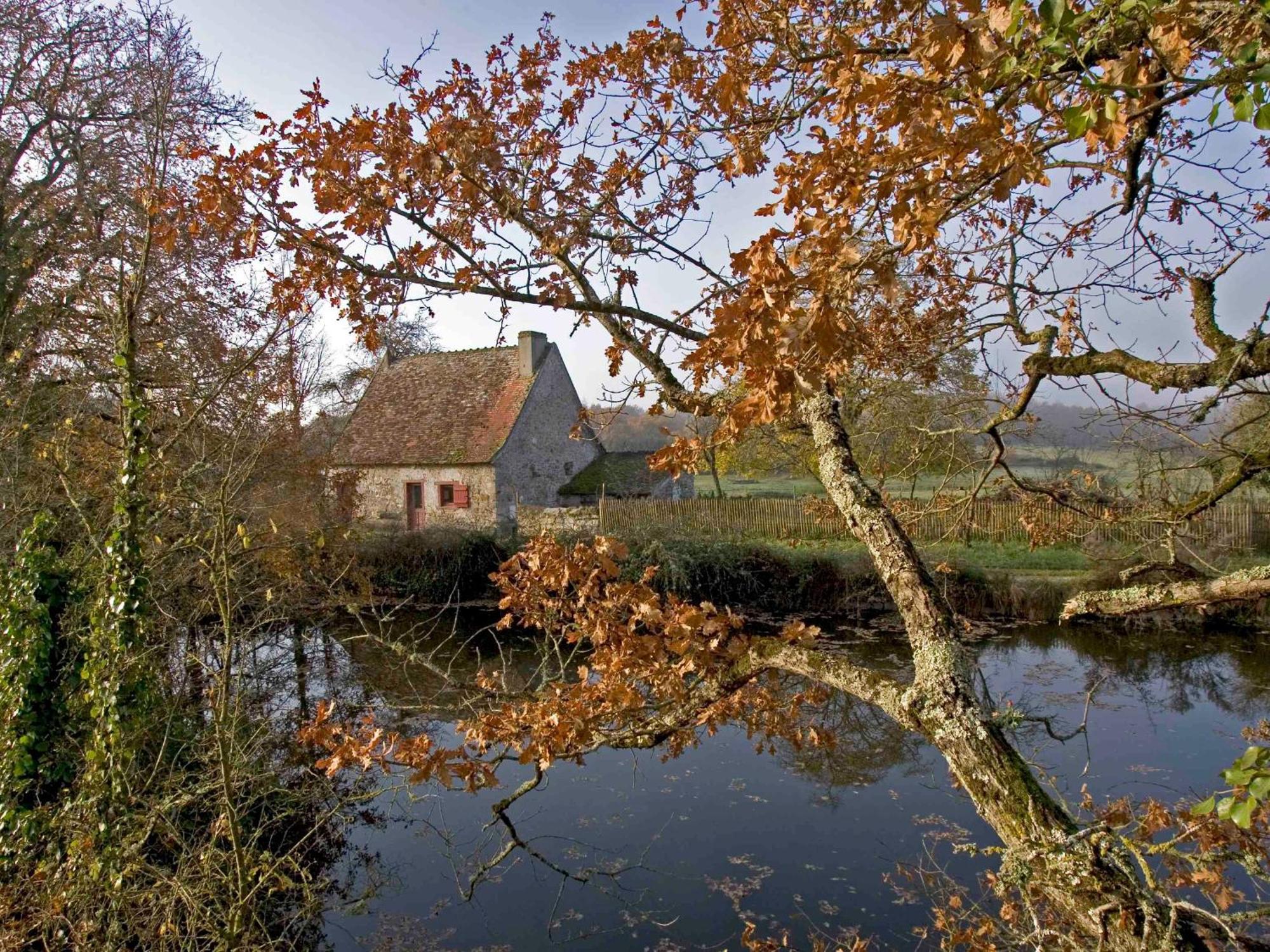 Sejour Nature Au Coeur Du Parc De La Brenne: Gite 4 Chambres, Jardin Et Terrasse, Proche De Rosnay - Fr-1-591-141 Экстерьер фото